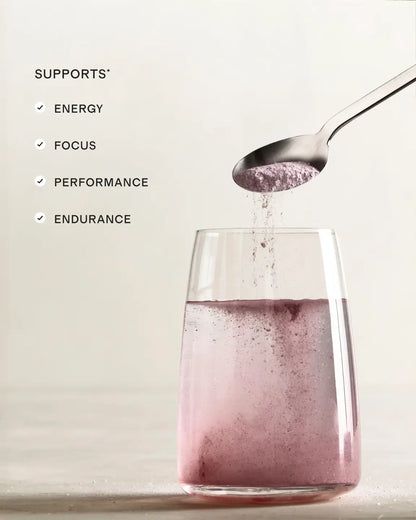 Performance Pre-Workout - US 6057