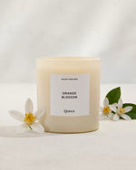 Orange Blossom Candle - US 9302