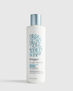 Scalp Revival™ Dandruff Relief Shampoo 8.4oz by Briogeo - US 1694