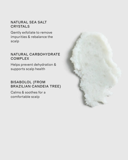 Cleansing Purifying Scrub 250ml by Christophe Robin - US 5839