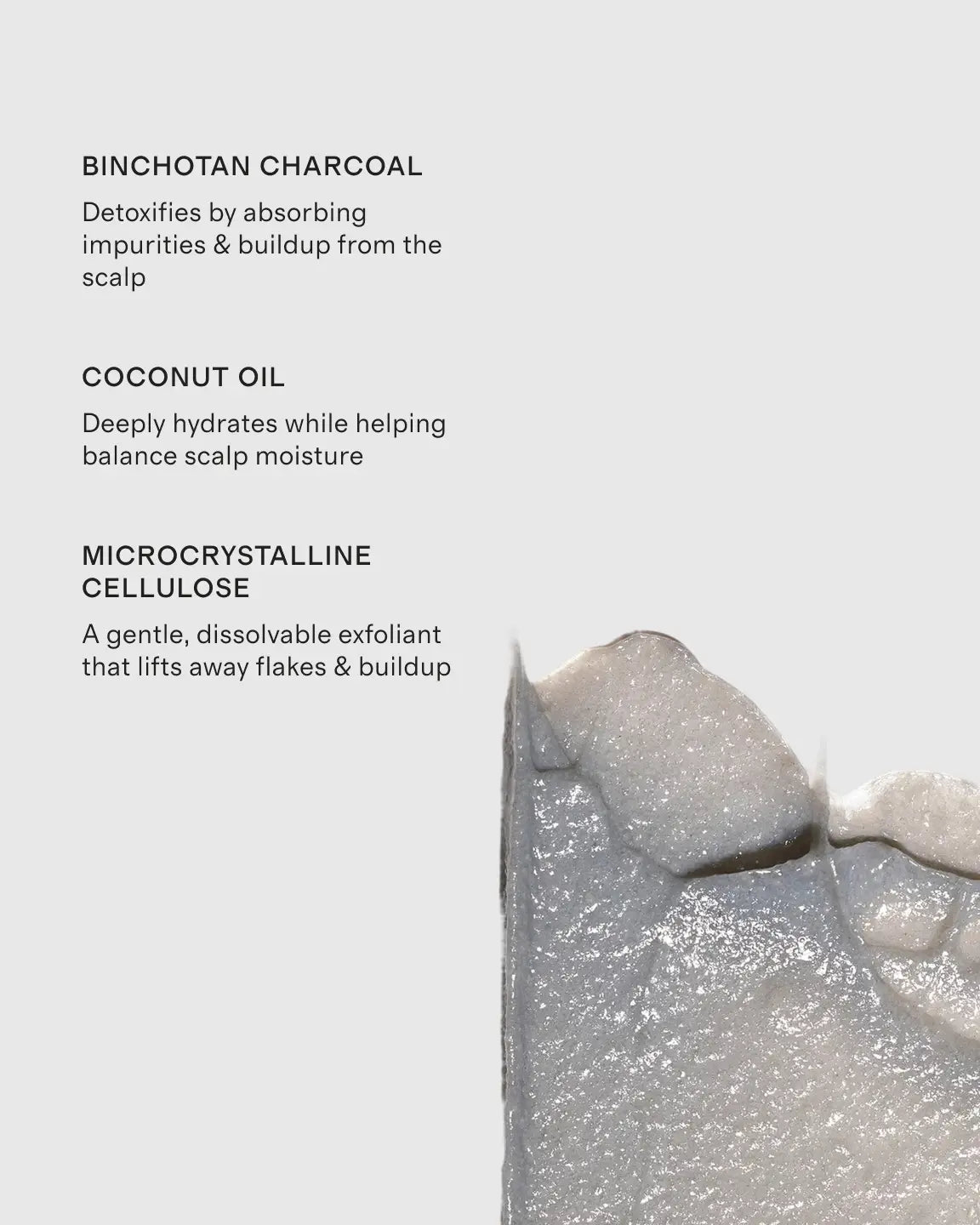 Scalp Revival™ Micro-Exfoliating Shampoo 32 oz by Briogeo - US 9478