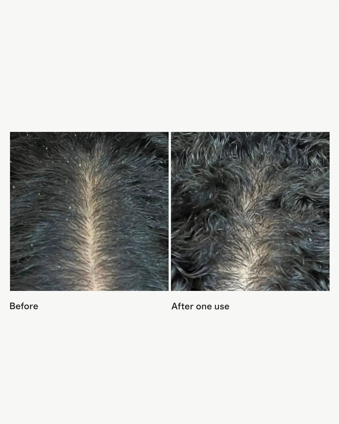 Scalp Revival™ Micro-Exfoliating Shampoo 32 oz by Briogeo - US 9478