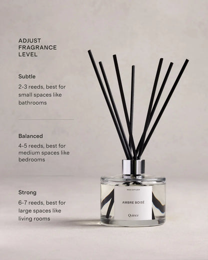 Ambre Boisé Reed Diffuser - US 5712