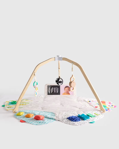 The Play Gym by Lovevery - US 7502