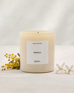 Mimosa Candle - US 3068