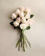 Pearl Garden Roses (12 stems) - US 6315
