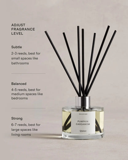 Pumpkin Cardamom Reed Diffuser - US 6751