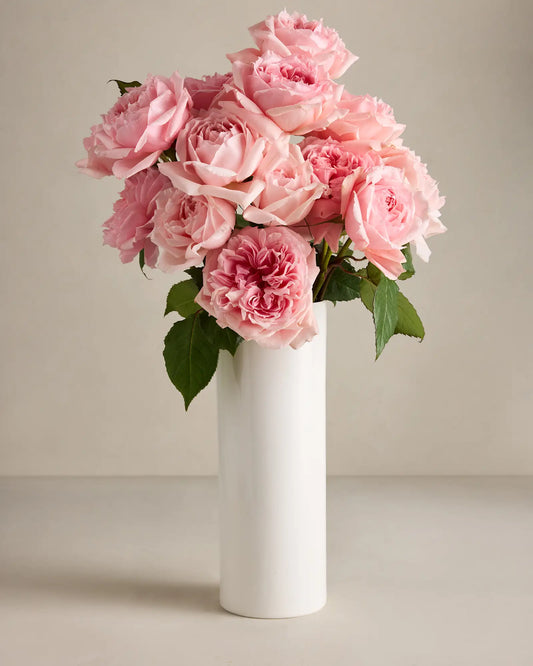 Aurora Garden Roses (12 stems) - US 4127