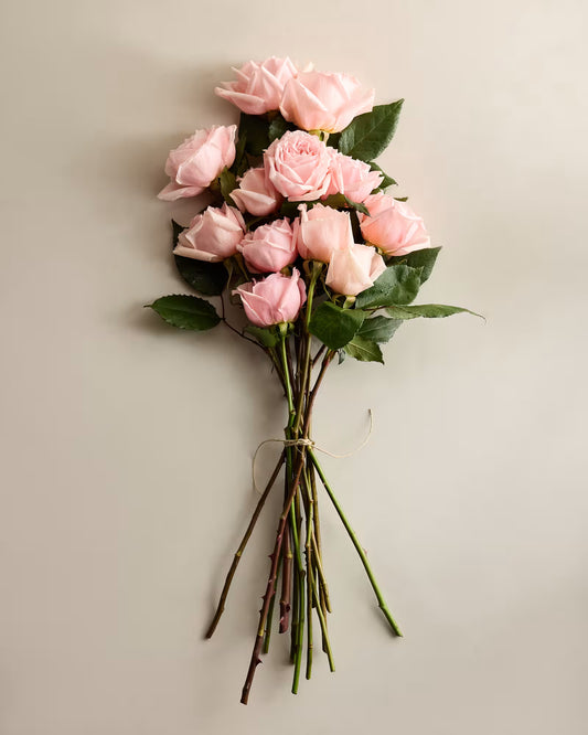 Aurora Garden Roses (12 stems) - US 4127