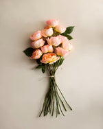 Soleil Garden Roses (12 stems) - US 8962