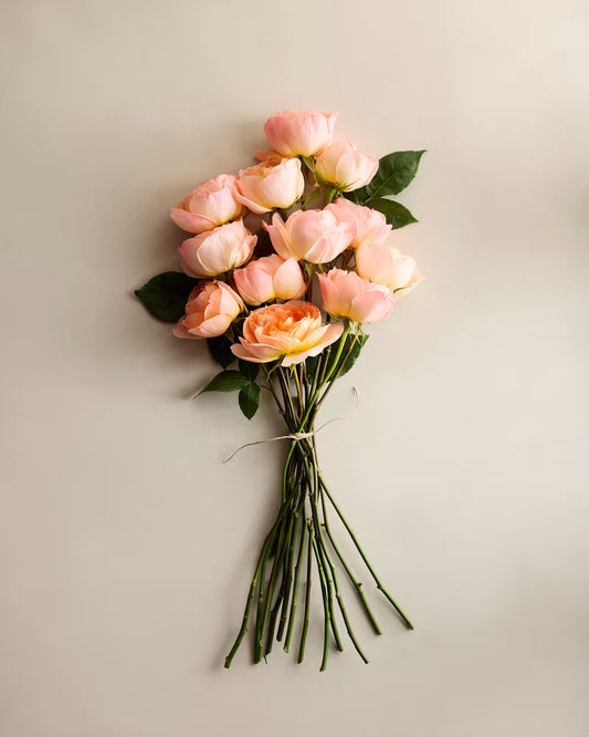 Soleil Garden Roses (12 stems) - US 8962