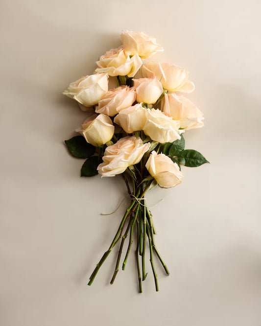 Afterglow Garden Roses (12 stems) - US 1943