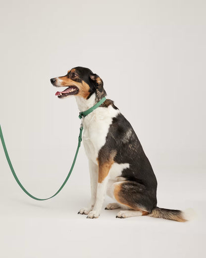 Flex-Poly Dog Leash - US 1023