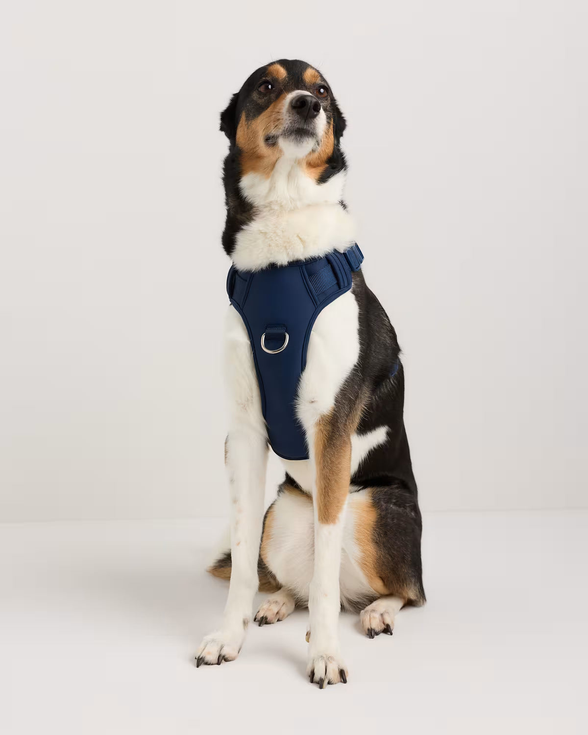 Neoprene Double Panel Dog Harness - US 8024
