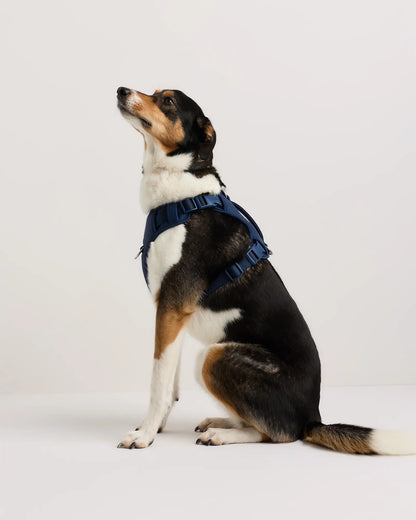 Neoprene Double Panel Dog Harness - US 8024