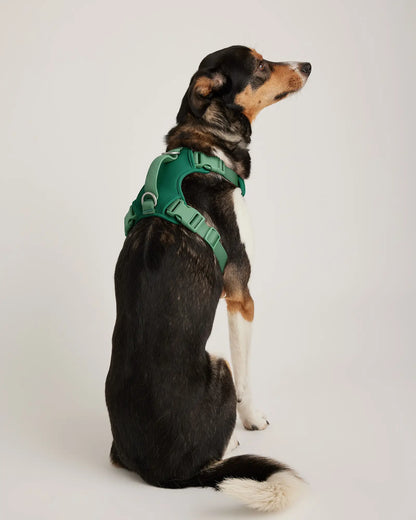 Neoprene Double Panel Dog Harness - US 5659