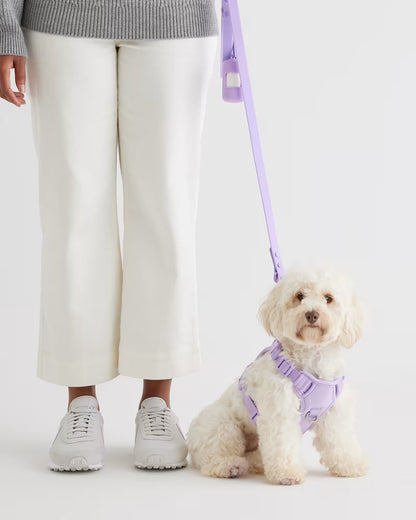 Dog Harness Walk Kit - US 3166