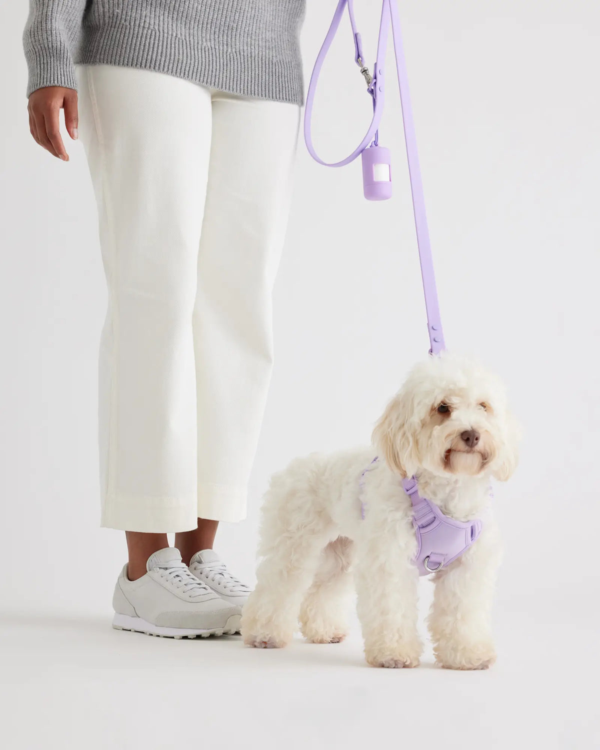 Dog Harness Walk Kit - US 3166
