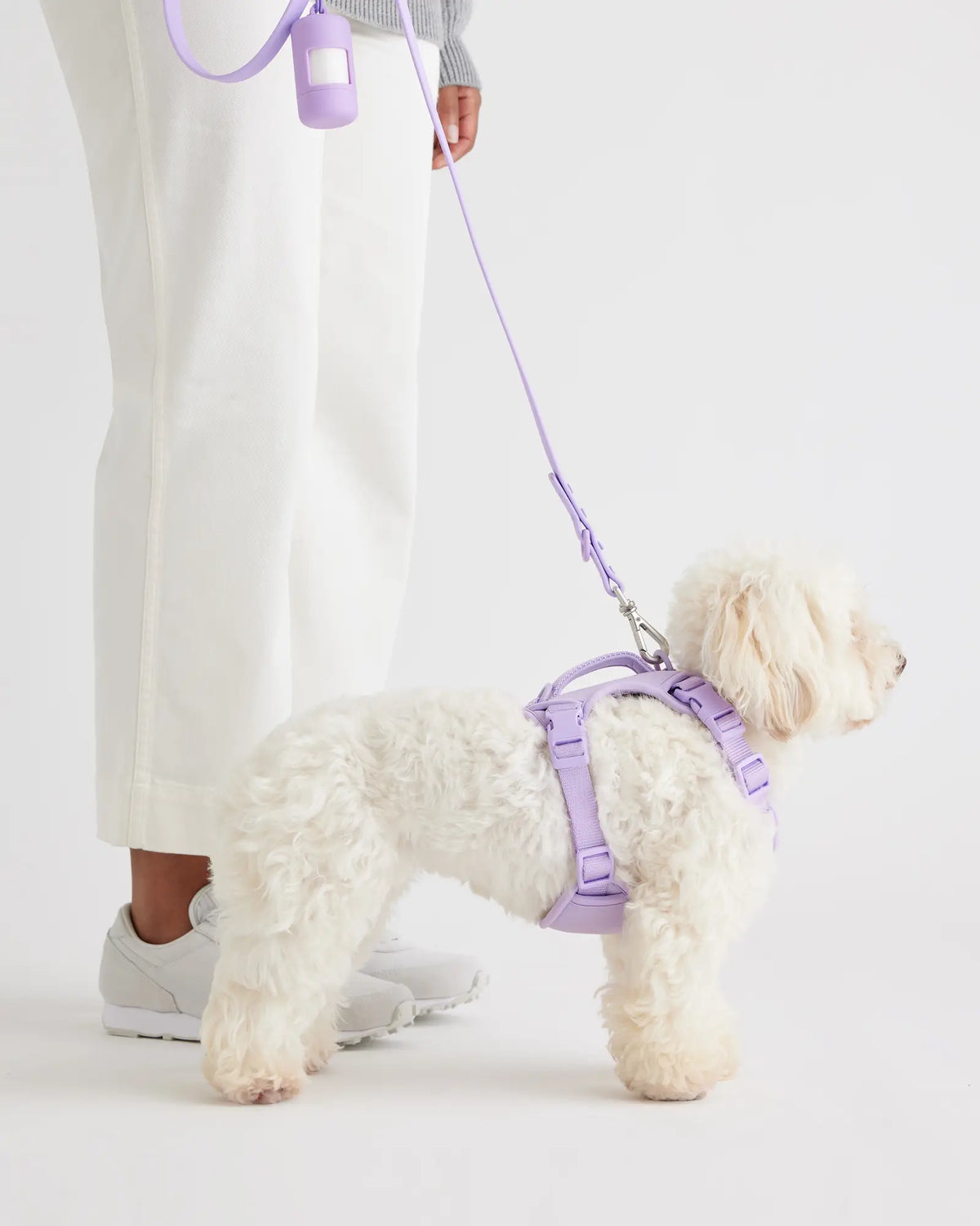 Dog Harness Walk Kit - US 3166
