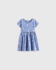 Blue Daisy