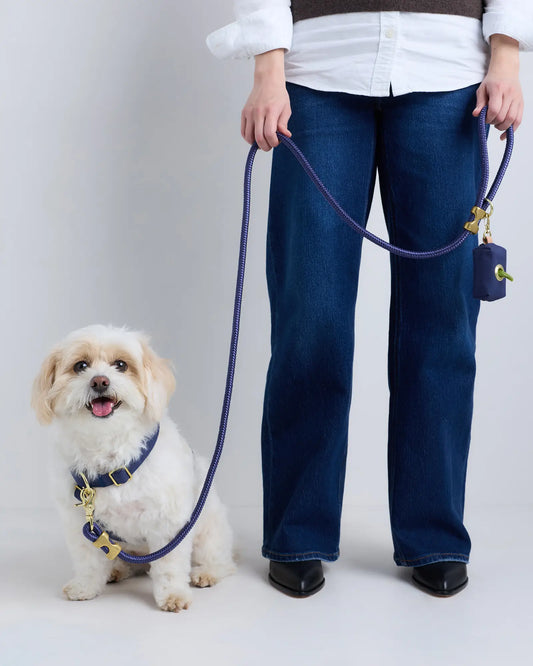 100% Cotton-Wrapped Nylon Dog Harness Walk Kit - US 1133