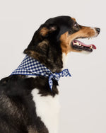 100% Cotton Pet Bandana (3-pack) - US 4668