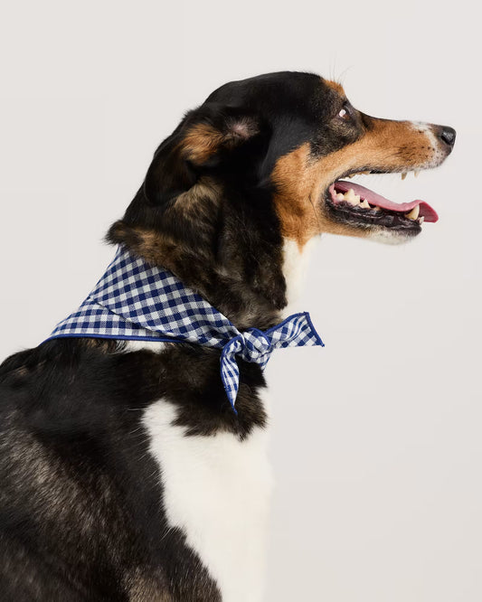 100% Cotton Pet Bandana (3-pack) - US 4668