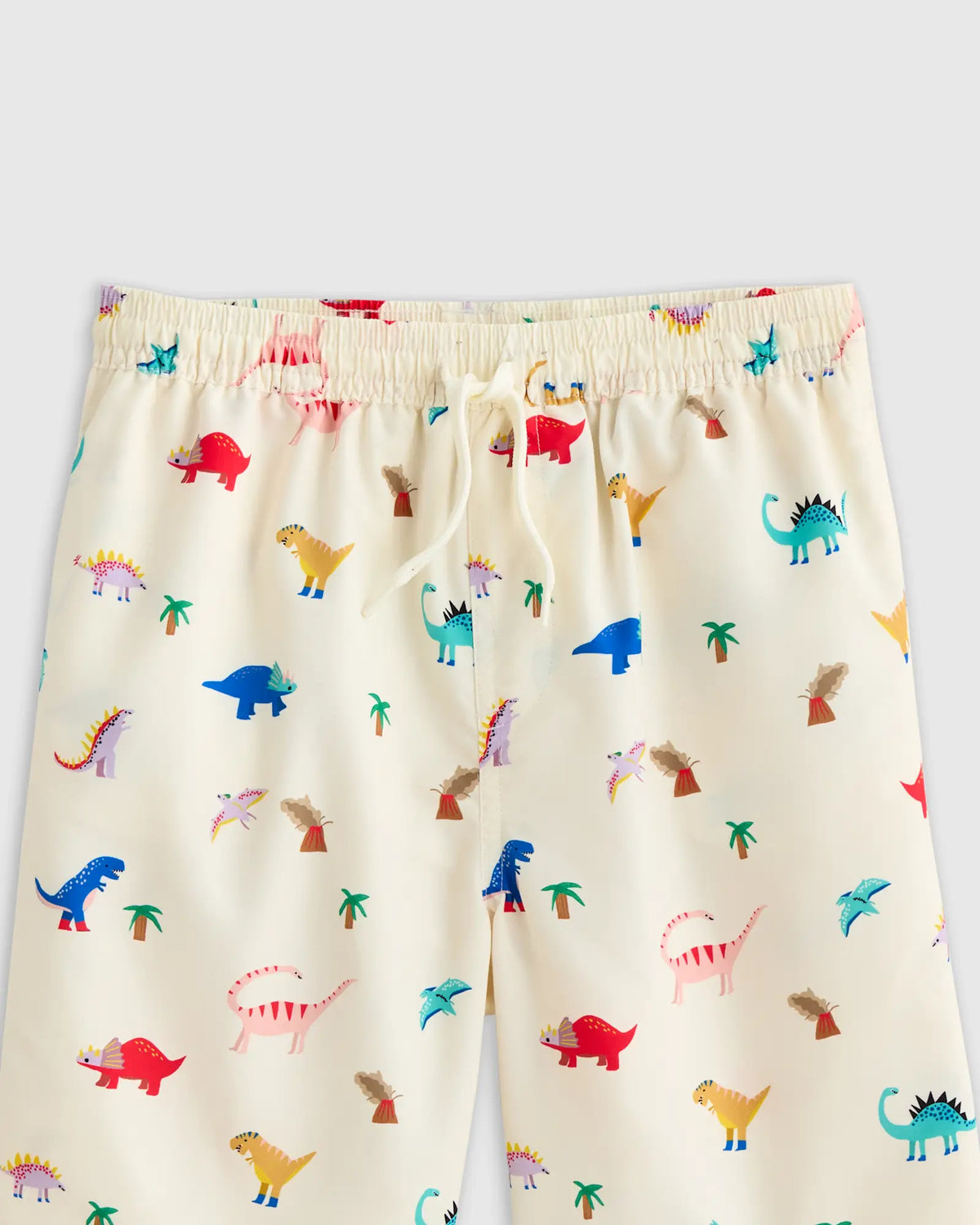 Swim Trunk - US 1484
