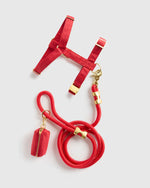 100% Cotton-Wrapped Nylon Dog Harness Walk Kit - US 9050