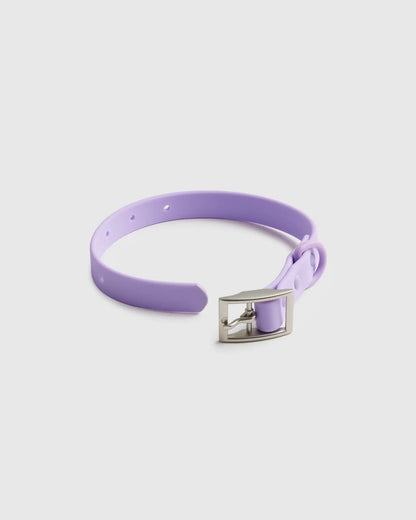 Dog Collar Walk Kit - US 3352