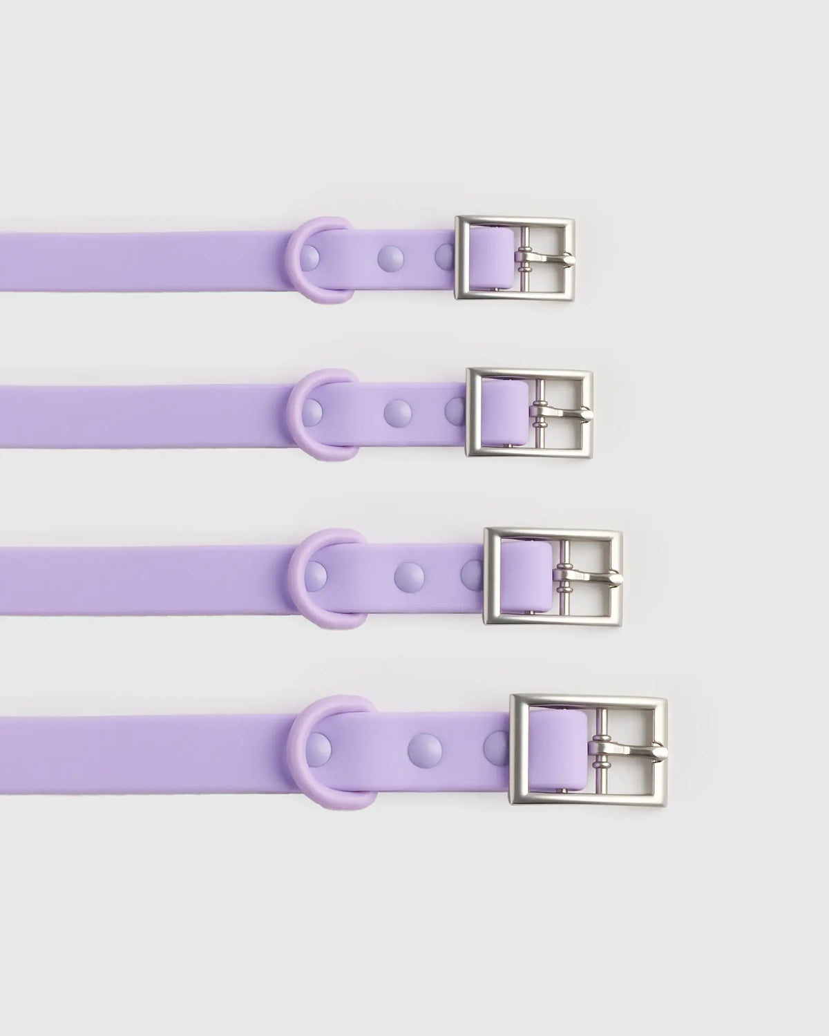 Dog Collar Walk Kit - US 3352