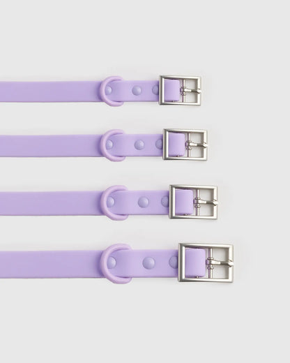 Dog Collar Walk Kit - US 3352
