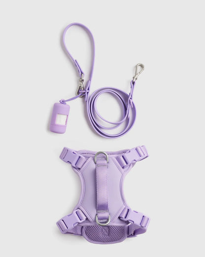 Dog Harness Walk Kit - US 3166