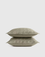 Dried Sage