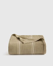 Sage Stripe