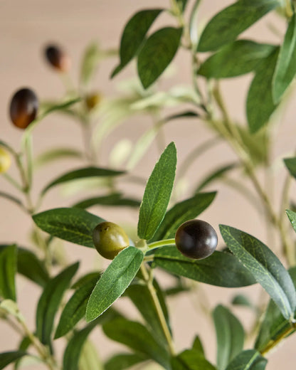 Faux Olive Tree - US 7758