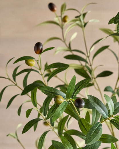 Faux Olive Tree - US 7758