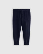 Washable Cashmere Jogger - US 7174