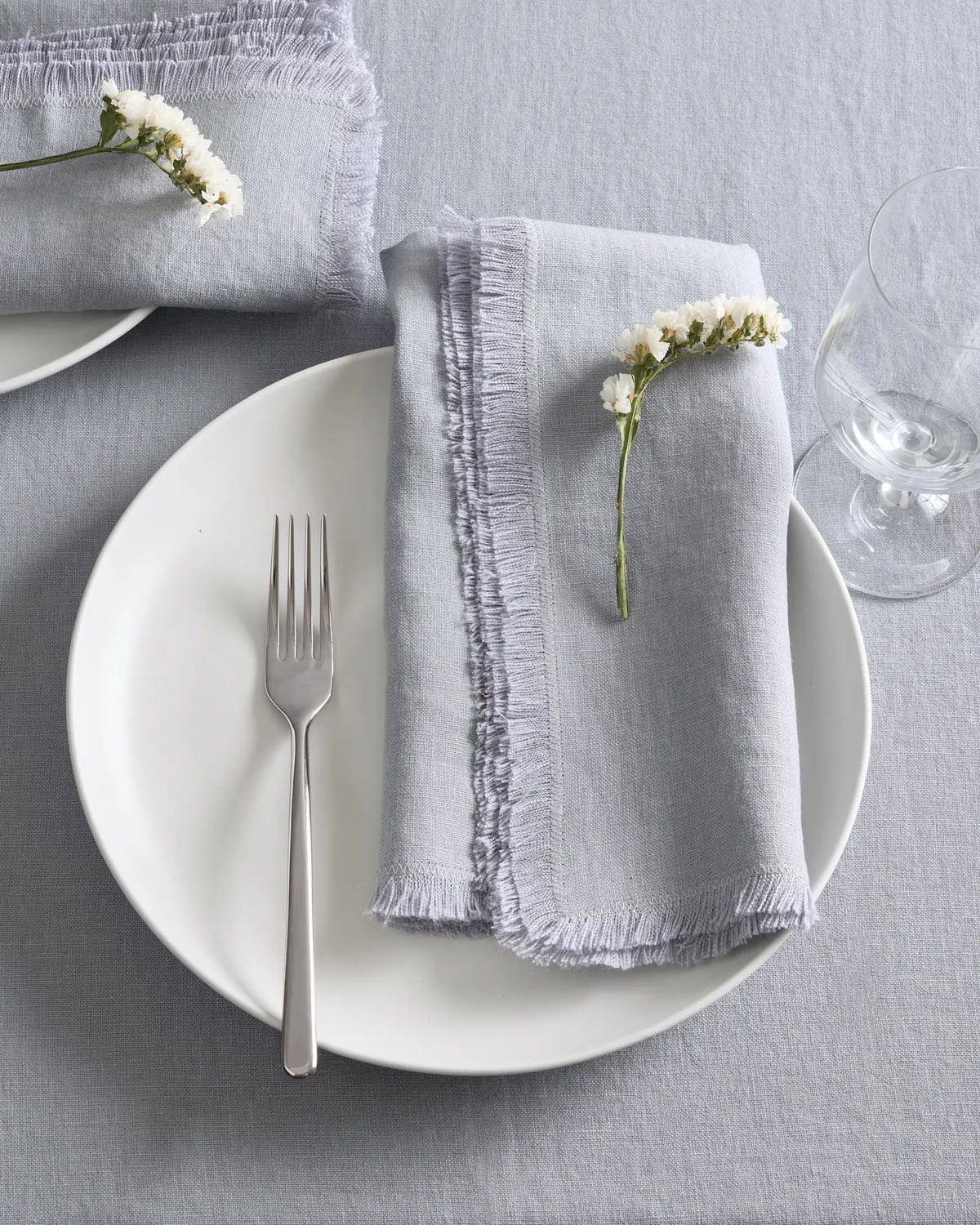 European Linen Fringe Napkins, Set of 12 - US 5317