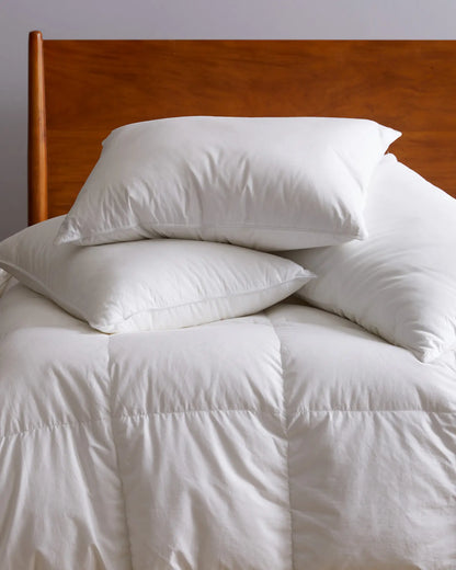 Luxe Goose Down Duvet Insert - US 8769
