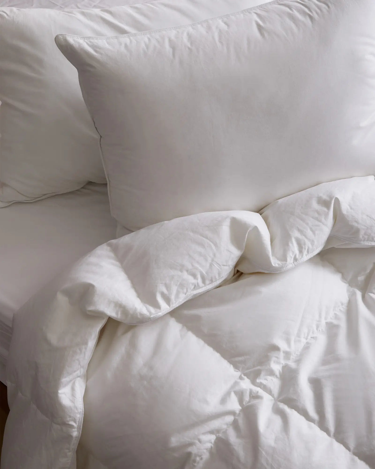 Luxe Goose Down Duvet Insert - US 8769