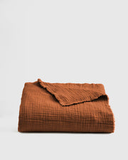 Terracotta